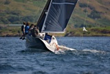 stealthy 2591c whyw21 sun 7847